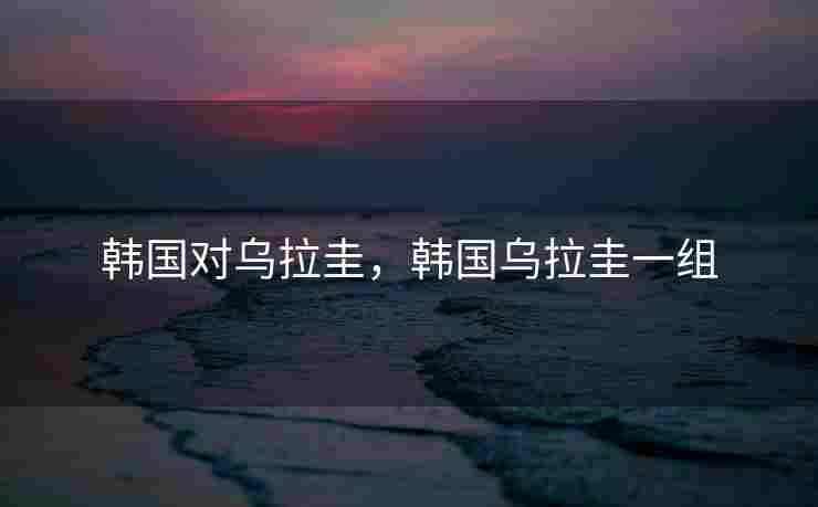 韩国对乌拉圭，韩国乌拉圭一组