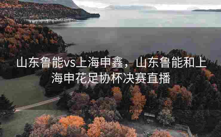 山东鲁能vs上海申鑫，山东鲁能和上海申花足协杯决赛直播